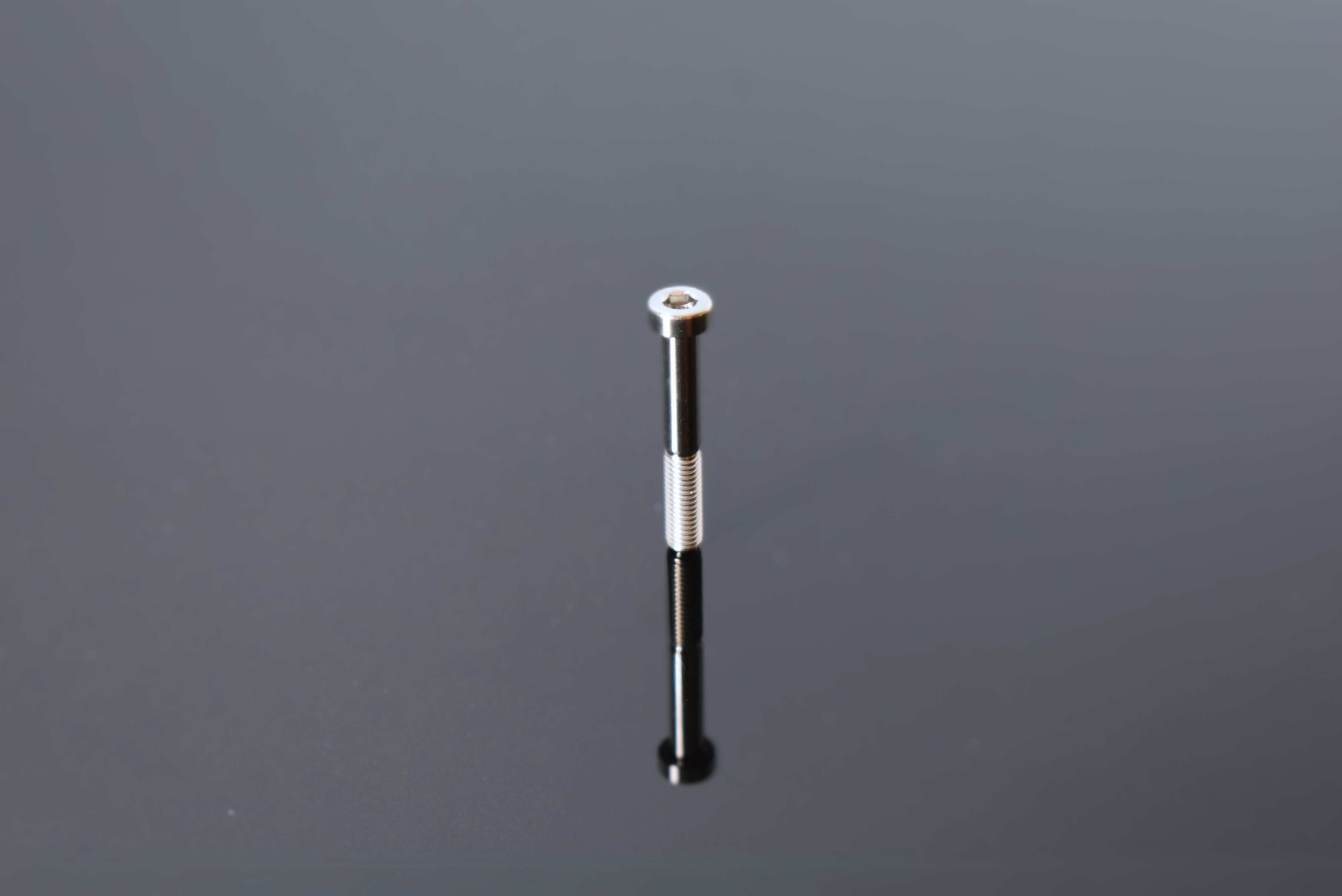 RAKUTAO99893 専用 PARADOX TOKYO PRDX-006-SL ギターストラップ Neo Crystalデザイン